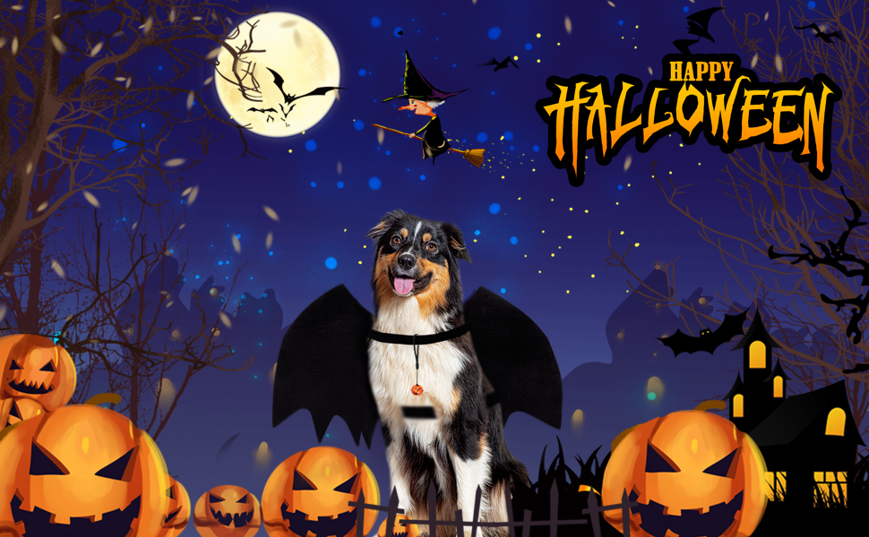 halloween kostüm hund