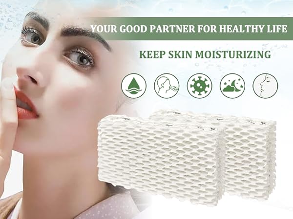 Wf813 Eqwf813 Humidifier Filters