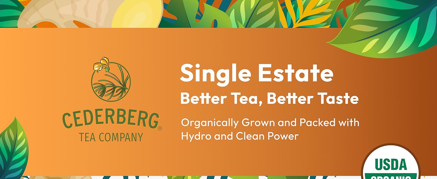 ginger peppermint probiotic tea bags mint organic nausea relief chamomile lemon probiotic gengibre