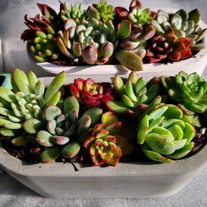 Small manufacture image 2