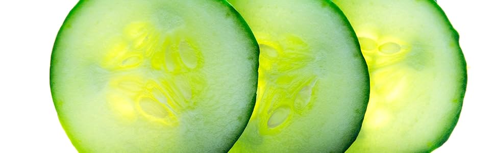 LOHOM home fragrance reed diffuser with 7 diffuser sticks Cactus Blossom FRAGRANCE NOTES