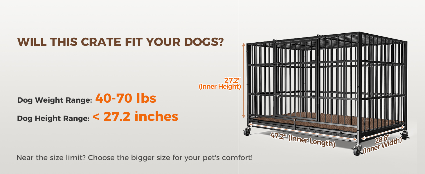 dog crate