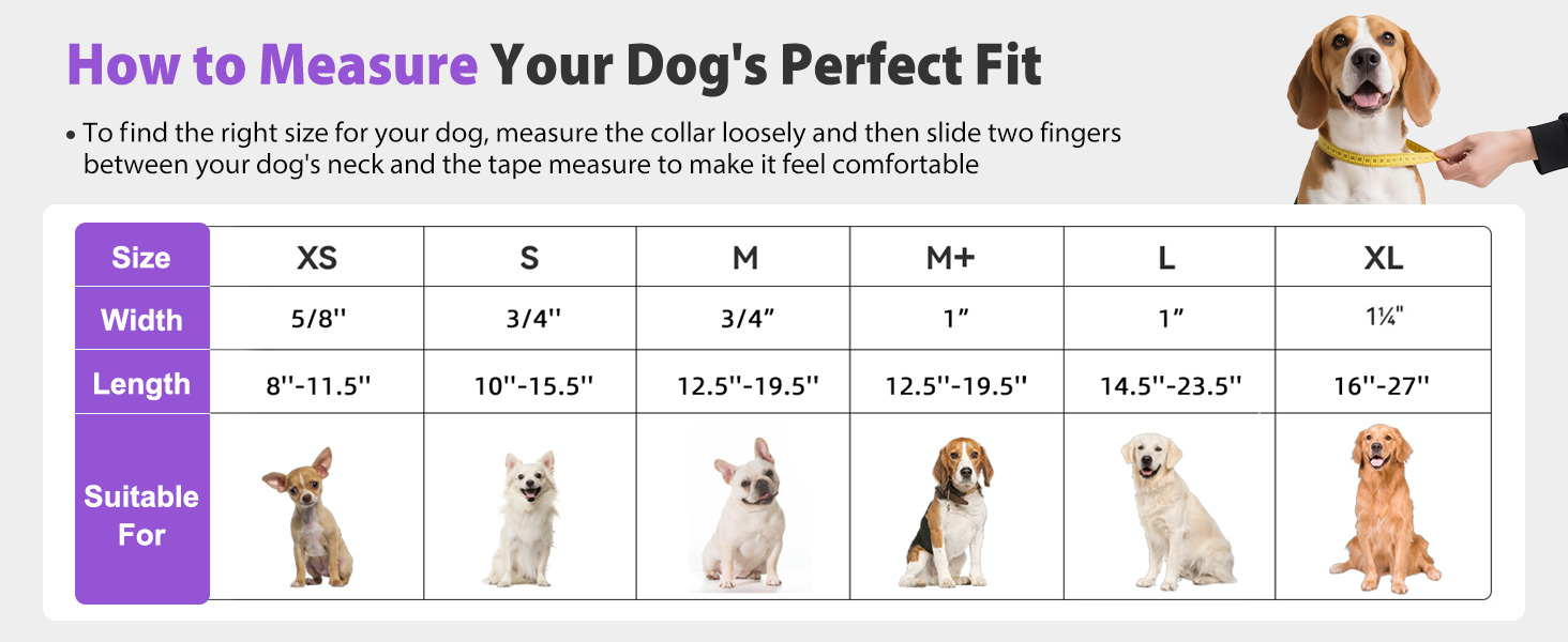 adjustable dog collar