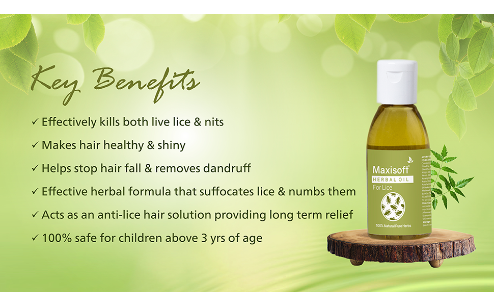 Maxisoft Lice Herbal Oil Herbal Lice Killer Oil Kills Lice, Eggs