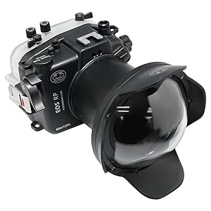 RP With Dome Port