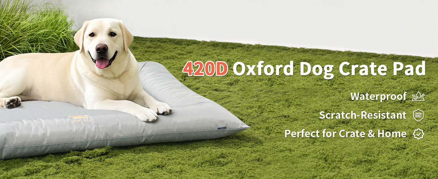 dog crate pad