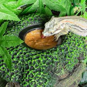 Comes with feeding function