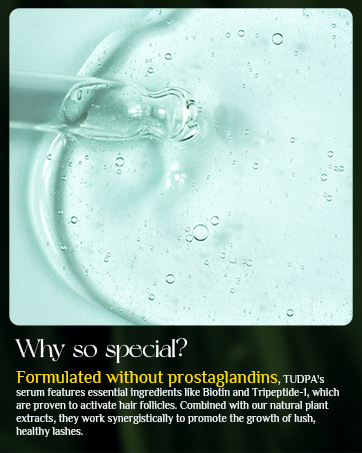 TUDPA Brand Backgroud