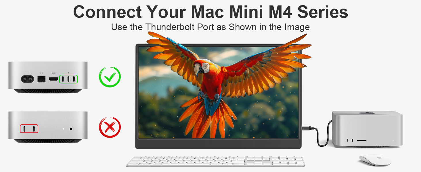 Mac mini/Mac Studio M1 Connection Diagram