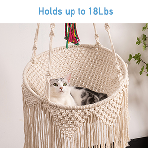 cat hammcok