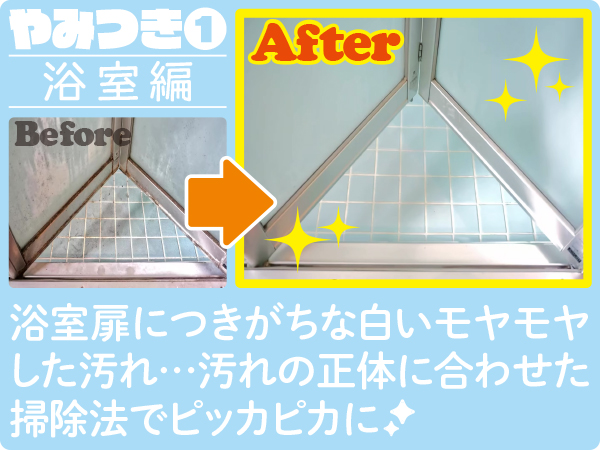 お掃除大好き70本 お掃除大好き70本 image.jpg