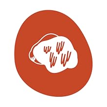 Lion's Mane Mushroom