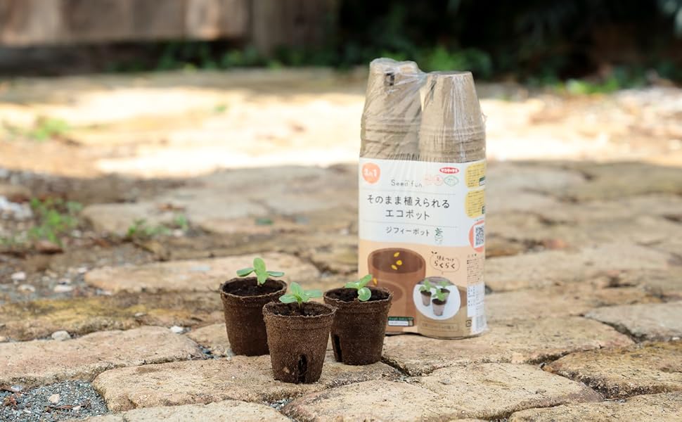 ジフィーポット 丸型5.5cm 約3400個入り スリット入り　そのまま植えれる ジフィーポット 丸型5.5cm 約3400個入り スリット入り そのまま