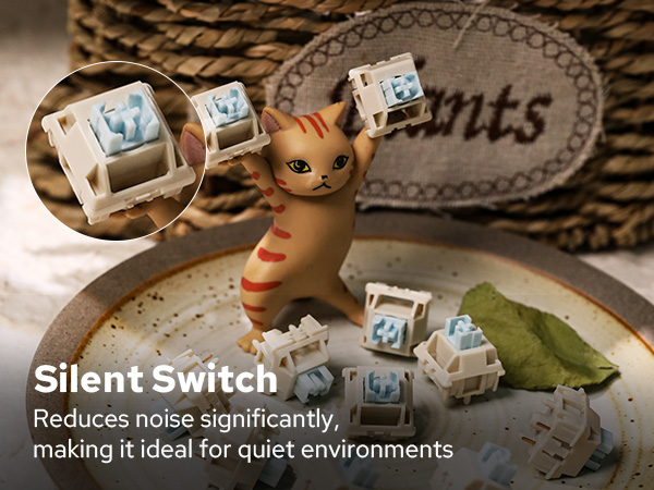 silent switch set