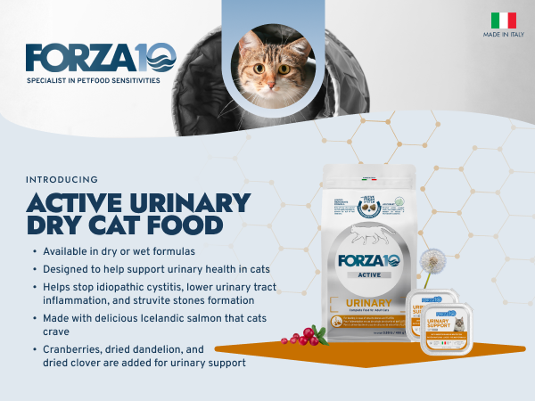 Amazon.com : Forza10 Active Urinary Dry Cat Food, Cat Food