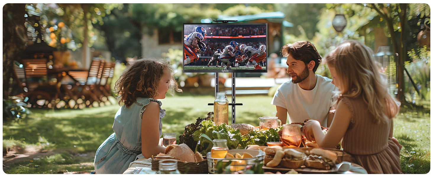 outdoor tv roku