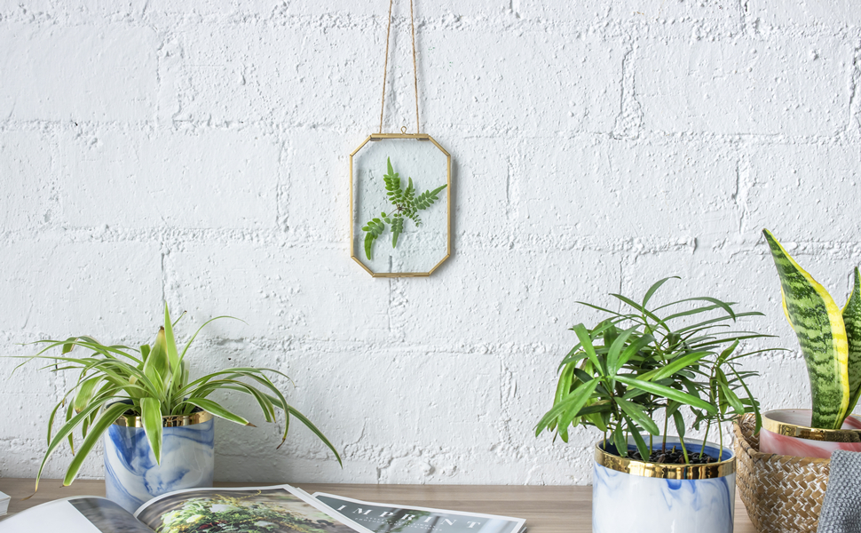 NCYP 4" x 6" Small Glass Floating Frame with Chain for Artwork Photo