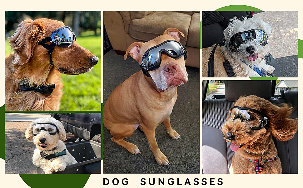 ENJOYING Dog Goggles Medium Breed AntiUV Doggy Sunglasses