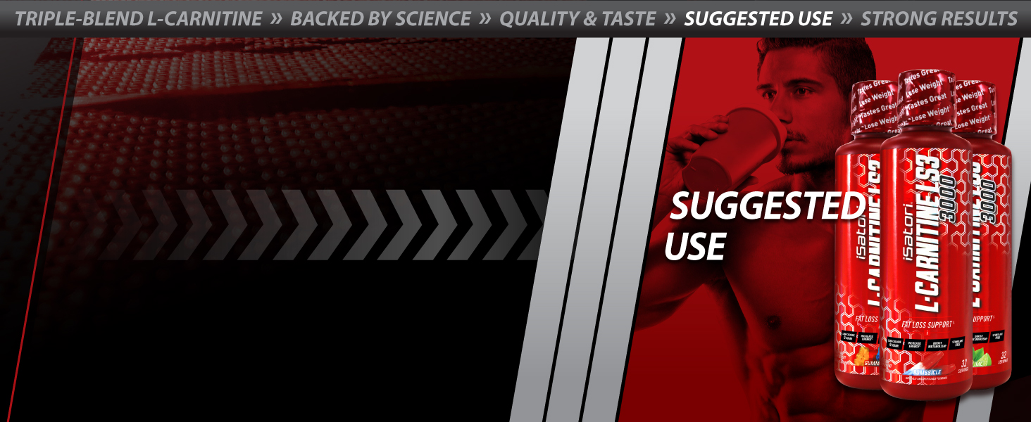 l carnitine supplement muscle building supplements for men muscle recovery focus and energy