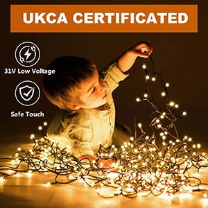 31v low voltage