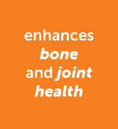 PetHonesty Hip & Joint Health