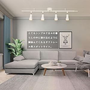 店舗　間接照明　ルームライト　LED 球　大　中　小 楽天市場】【楽天1位常連】スポットライト 調光調色 1~16個 LED