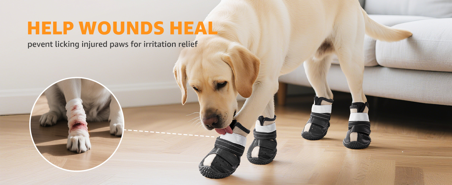 small dog shoes for hot pavement