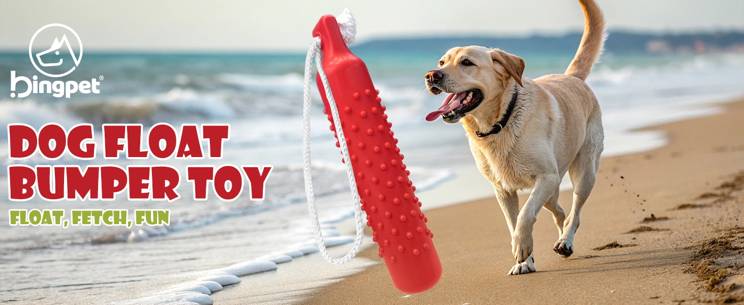 Dog Float Bumper Toy