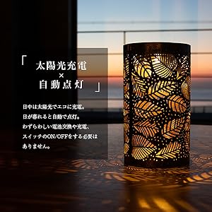 ナノシェイプソイ(バラ売り可) ナノシェイプソイ(バラ売り可)の通販 by くうかい's shop｜ラクマ