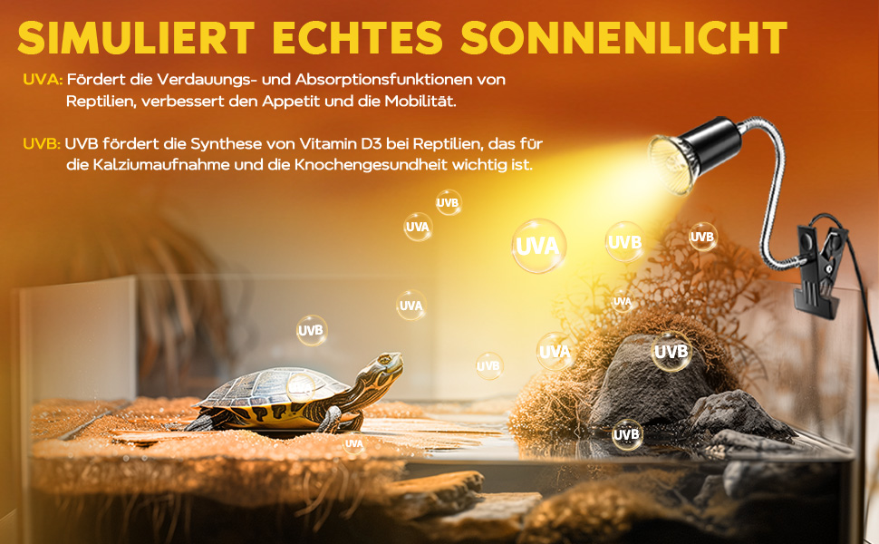 Wärmelampe, Die Einrarium -Mit -Einer Schildkröte BeleUteutzet. IM Text Wird Erklärt, Wie Die Lampe Sonnenlicht simuliert und so Vitamin-d-synthese und Die Verdauungsfunktion bei Reptilien fördert