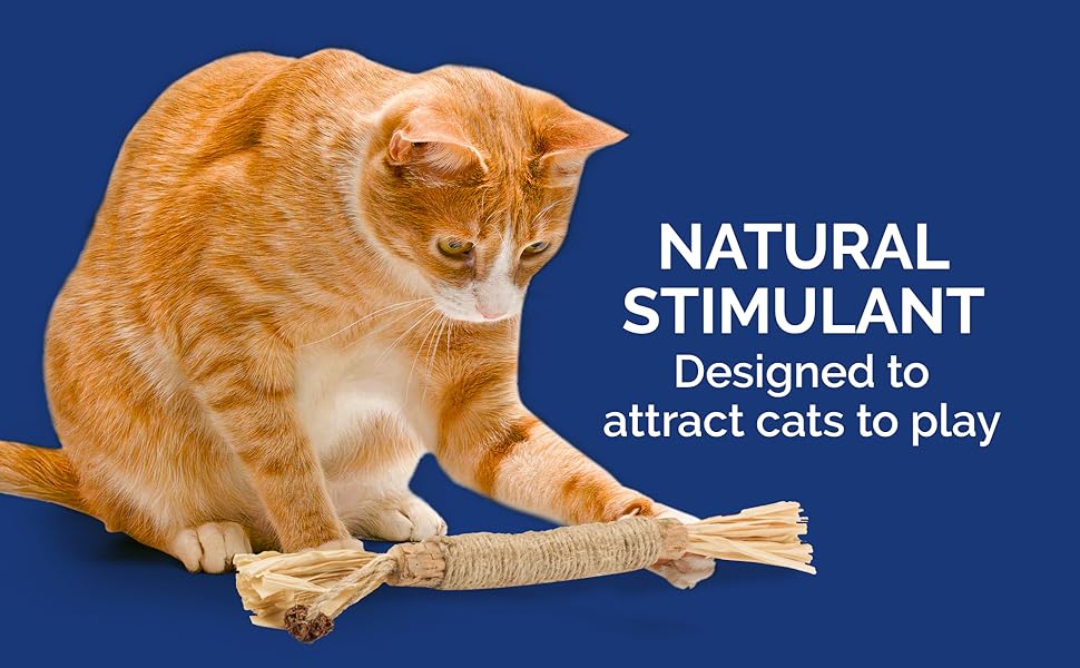 RYERCAT Silvervine Sticks for Cats AllNatural Cat Chew Toy for