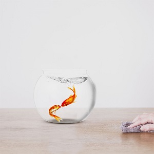small fish bowl