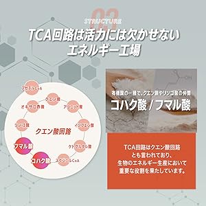 Amazon | 【カズレーザーと学ぶで紹介成分】酢酸菌酵素 配合