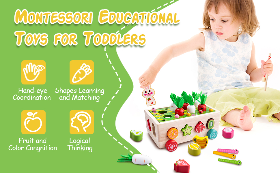Montessori Toys