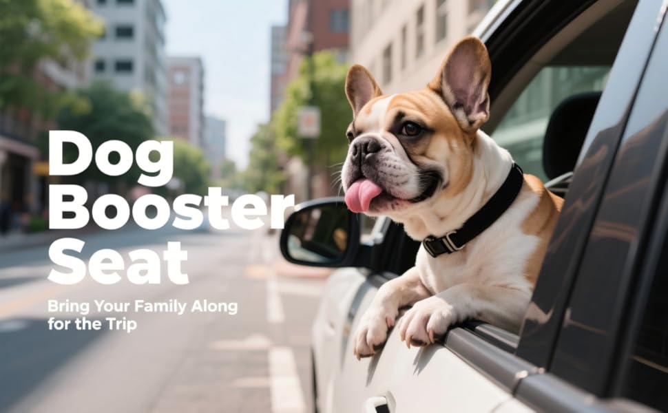 small dog car seat,car seat for dogs,dog bed for car