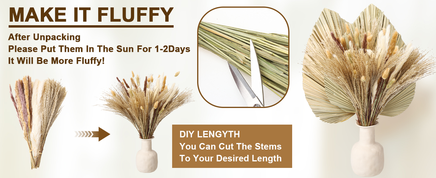 Dried Pampas Grass Decor