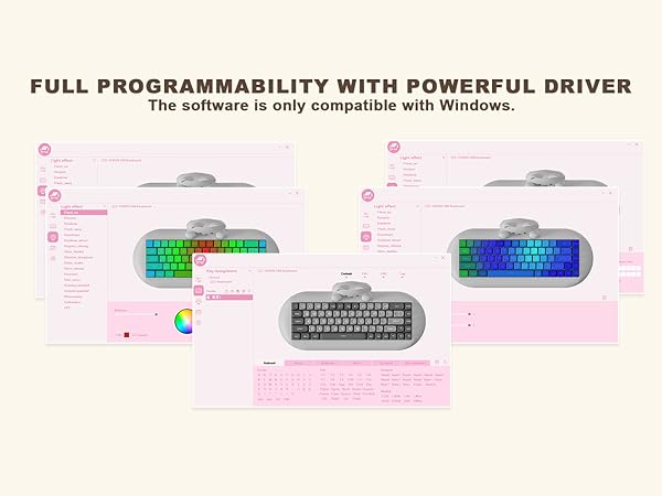 i♡ Amazon.com: OOCTPK Chilkey Foxy65 Mechanical Keyboard with