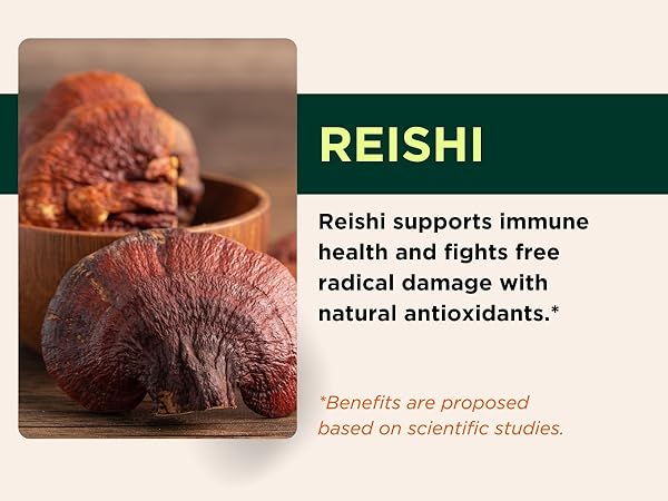 Reishi Mobile