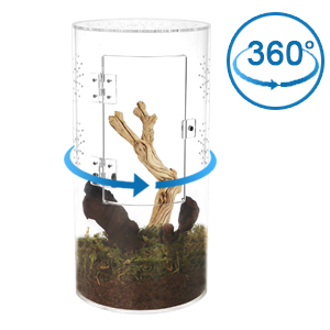 jumping spider enclosure 1