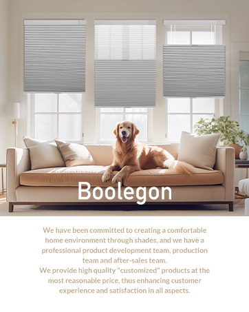 Boolegon cellular shades mini blinds