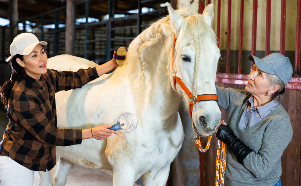 ZENFUN 6 Pcs Reversible Curry Combs, 4 Rings Stainless