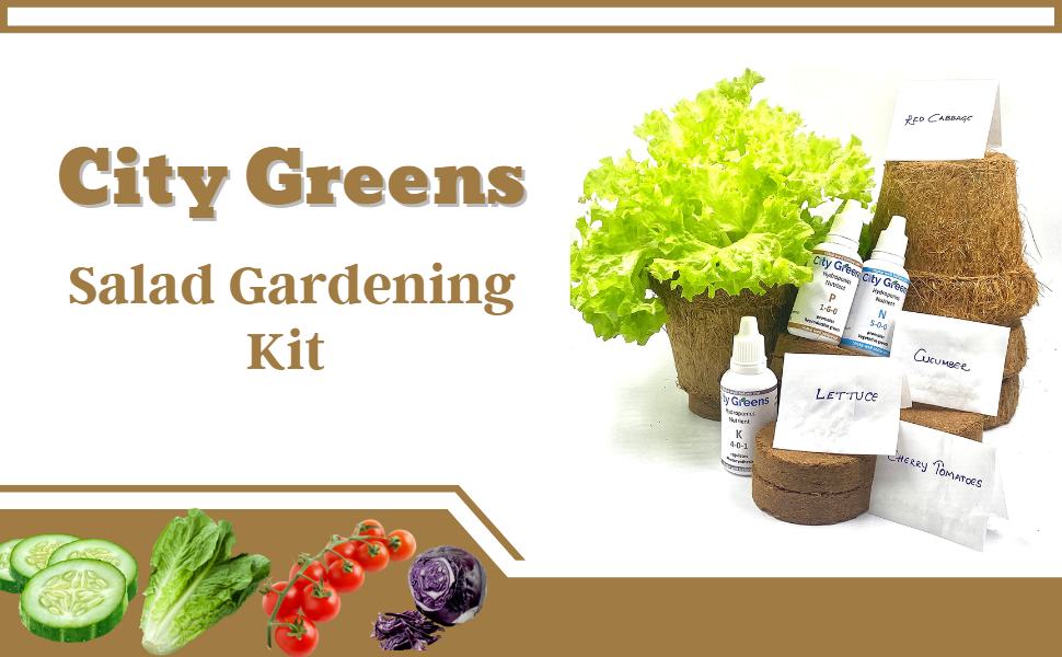 SPN-BFCC Salad Gardening Kit