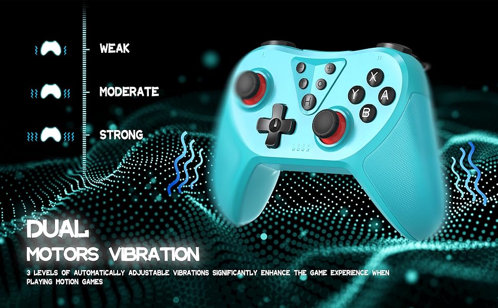 Switch controller