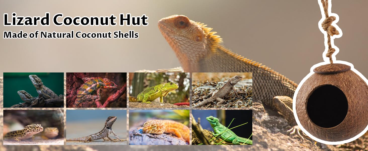 Crested Gecko Coconut Hut,Leopard Gecko Natural Coco Shell Den Reptiles Habitat Durable Hanging Cave