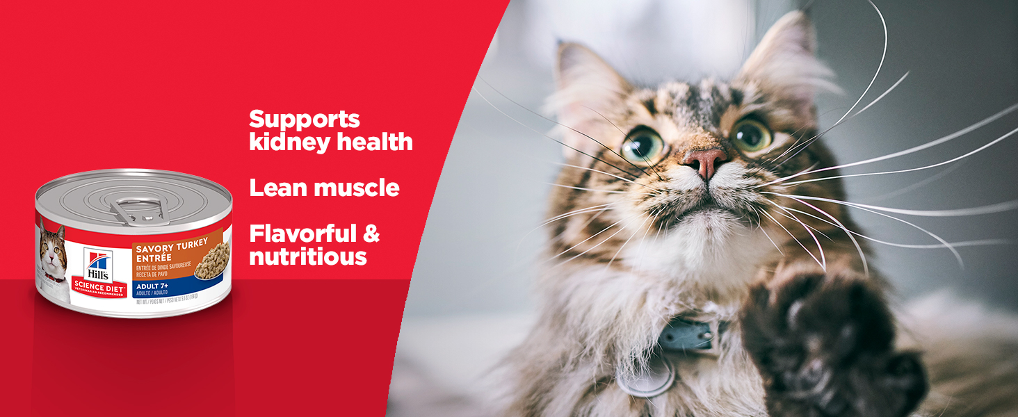 Hill's Science Diet Adult 7+, Senior Adult 7+ Premium Nutrition, Wet Cat Food