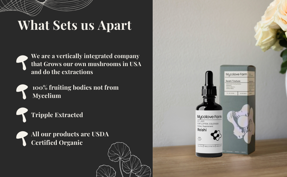 100% organic mushroom extract