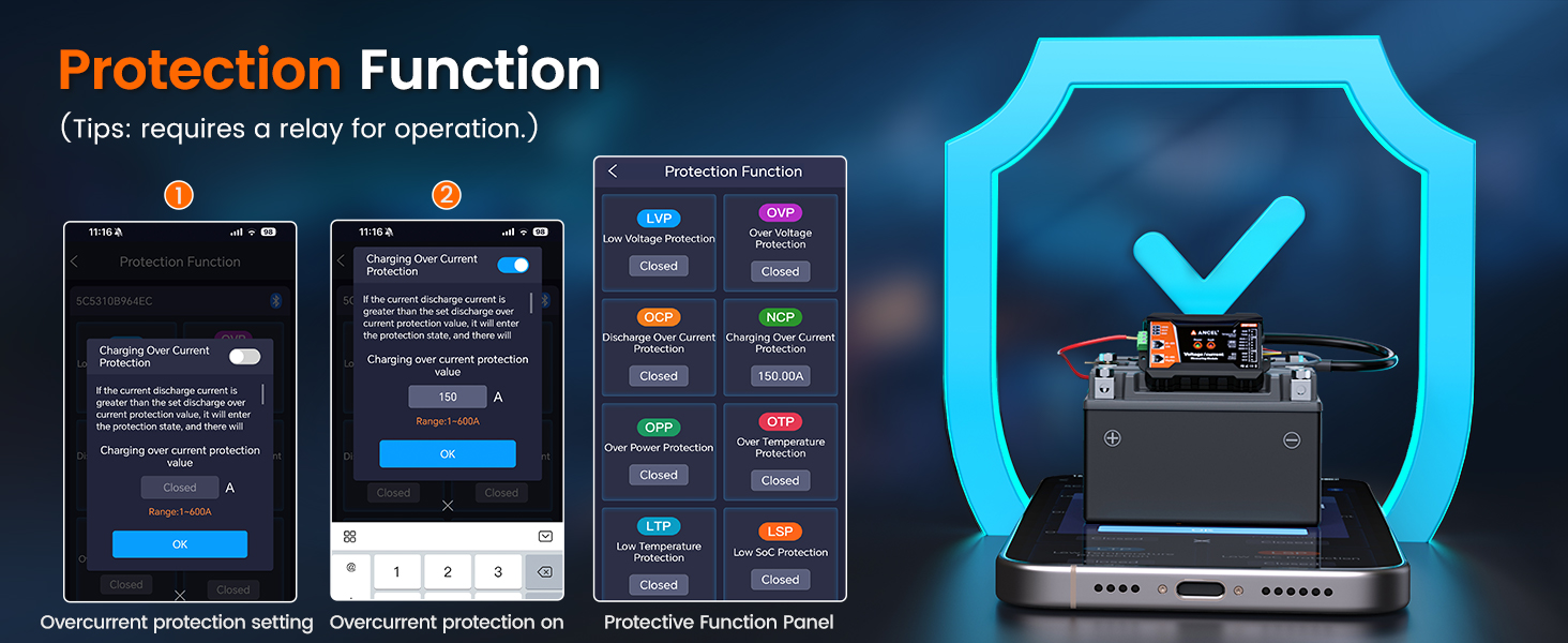 battery monitor with shunt