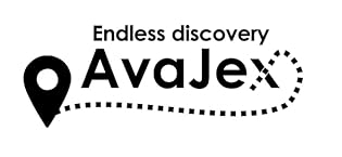 holiday essentials travel makeup bag