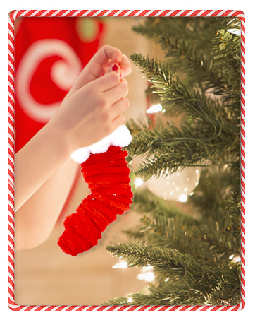 Pom Poms Pipe Cleaners