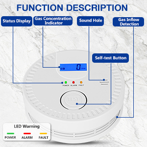 Carbon Monoside Detector